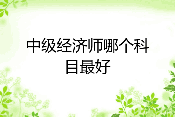 中级经济师哪个科目最好