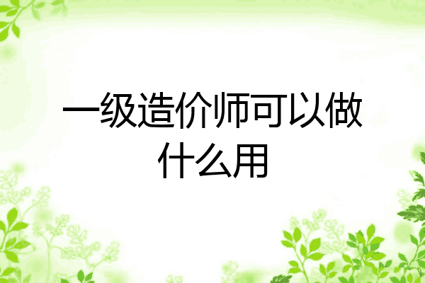 一级造价师可以做什么用