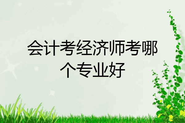 会计考经济师考哪个专业好