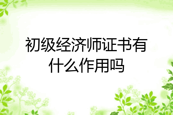 初级经济师证书有什么作用吗