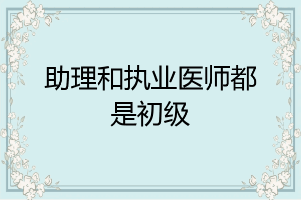 助理和执业医师都是初级