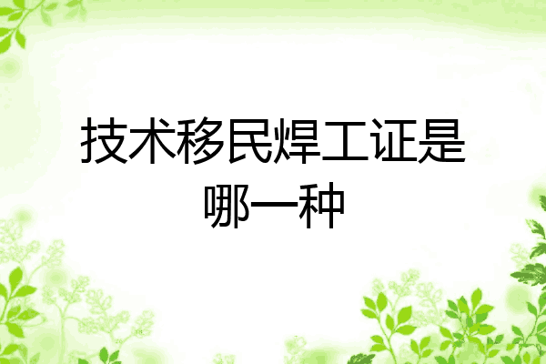 技术移民焊工证是哪一种