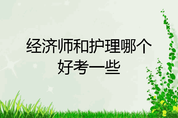 经济师和护理哪个好考一些