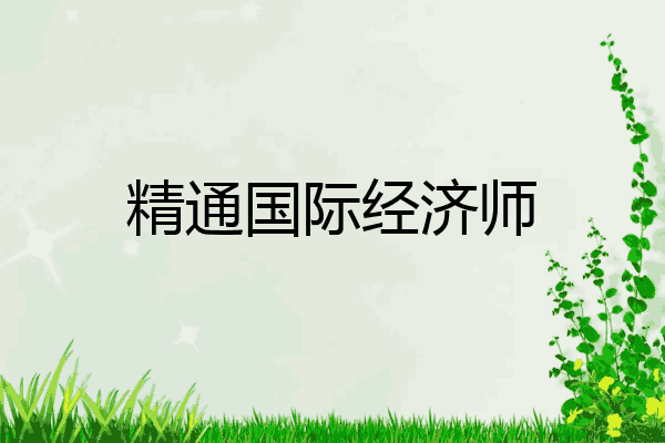 精通国际经济师