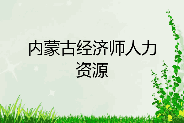 内蒙古经济师人力资源