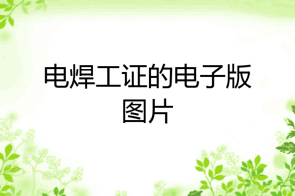 电焊工证的电子版图片