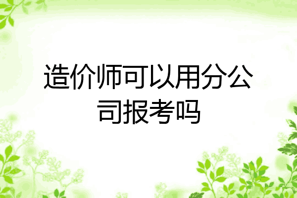 造价师可以用分公司报考吗