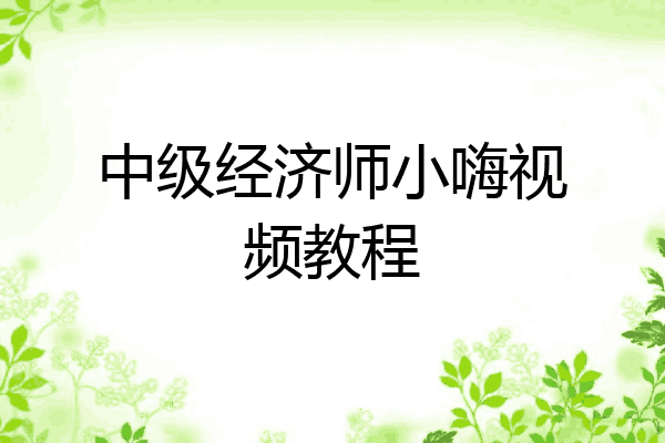 中级经济师小嗨视频教程
