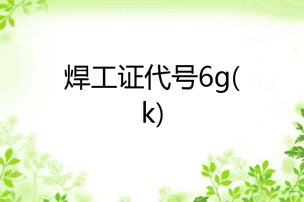 焊工证代号6g(k)