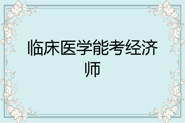 临床医学能考经济师