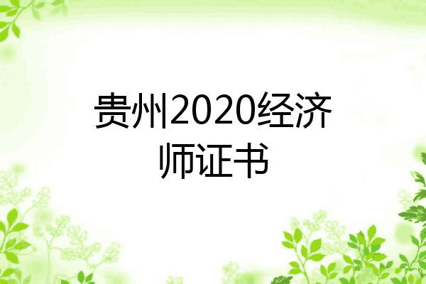 贵州2020经济师证书