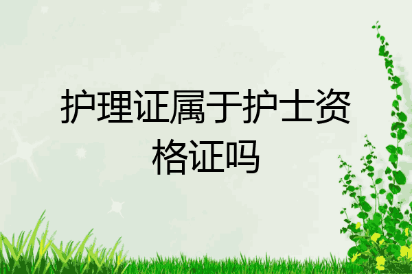 护理证属于护士资格证吗