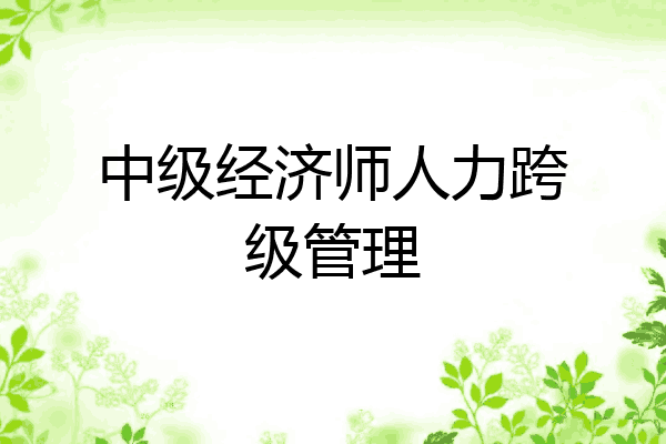 中级经济师人力跨级管理