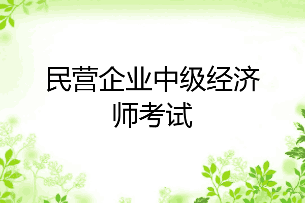 民营企业中级经济师考试