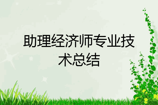 助理经济师专业技术总结