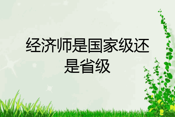 经济师是国家级还是省级