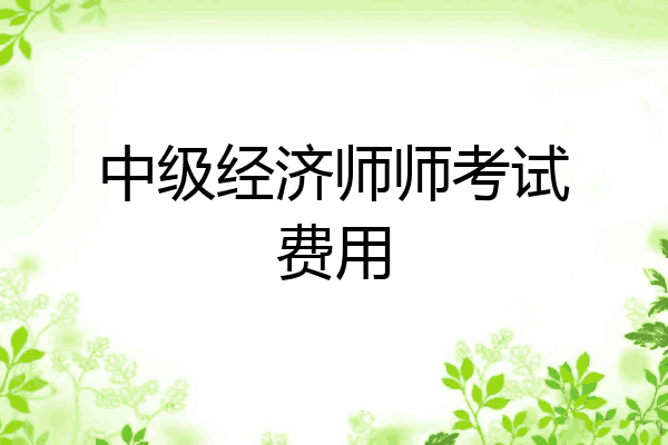 中级经济师师考试费用