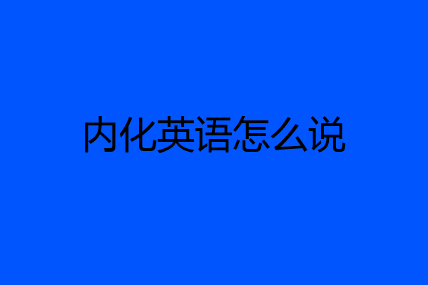 内化英语怎么说