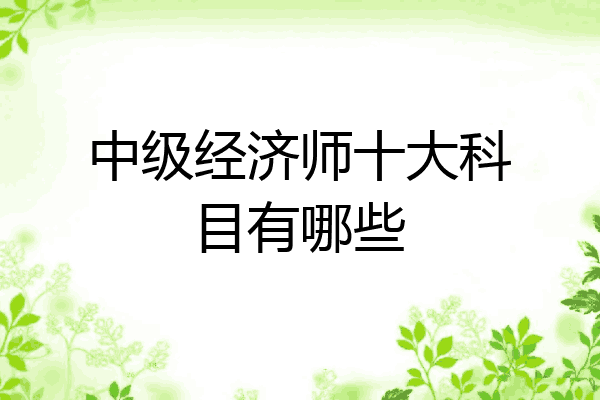 中级经济师十大科目有哪些