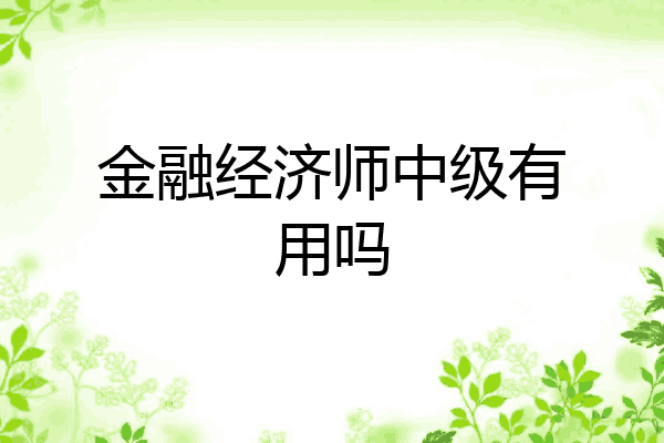 金融经济师中级有用吗