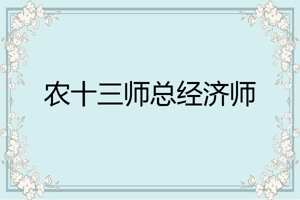 农十三师总经济师
