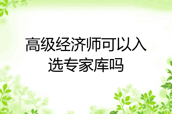 高级经济师可以入选专家库吗