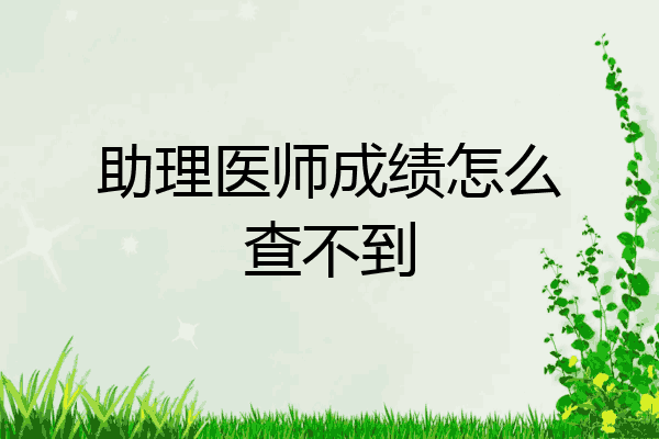 助理医师成绩怎么查不到