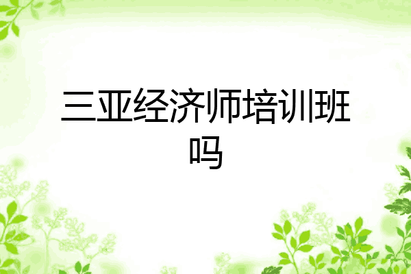 三亚经济师培训班吗