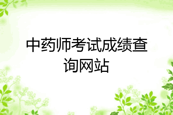 中药师考试成绩查询网站