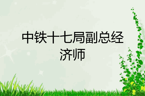 中铁十七局副总经济师