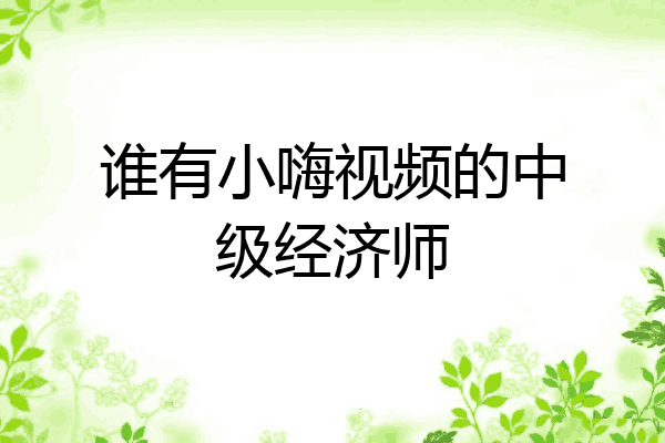 谁有小嗨视频的中级经济师