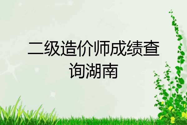 二级造价师成绩查询湖南