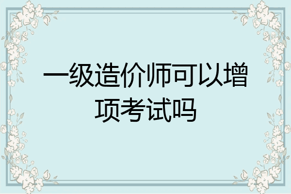 一级造价师可以增项考试吗