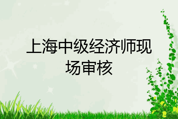 上海中级经济师现场审核