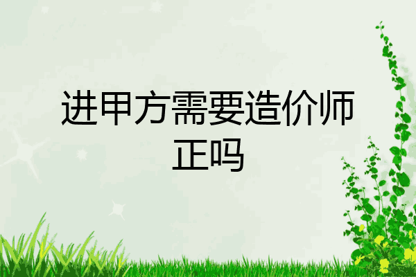 进甲方需要造价师正吗