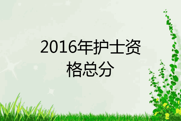 2016年护士资格总分