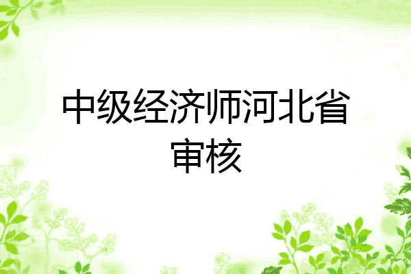 中级经济师河北省审核
