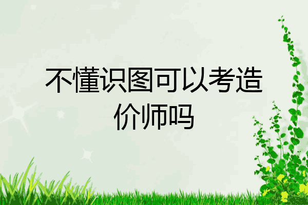 不懂识图可以考造价师吗