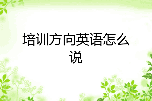 培训方向英语怎么说
