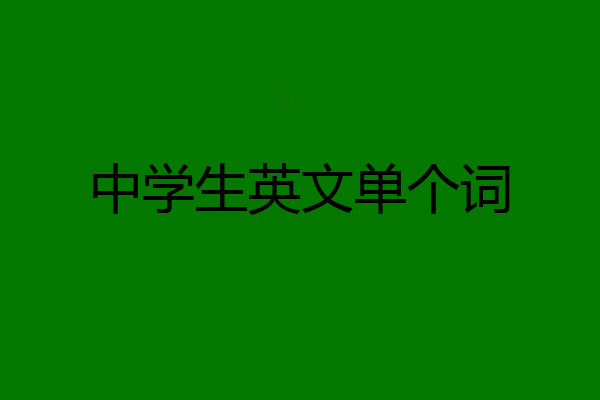 中学生英文单个词