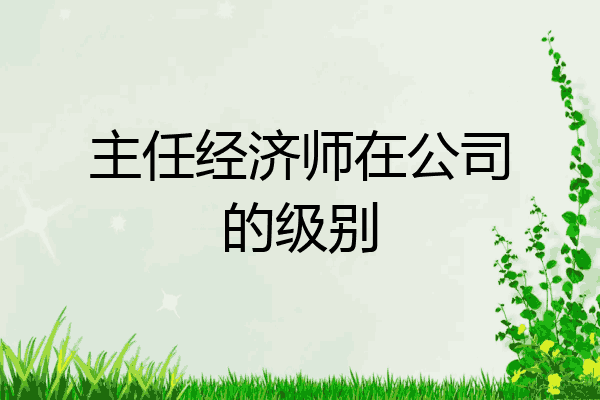 主任经济师在公司的级别