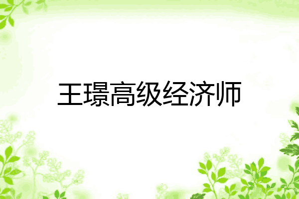王璟高级经济师