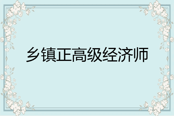 乡镇正高级经济师
