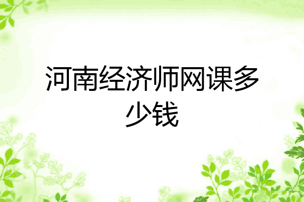 河南经济师网课多少钱