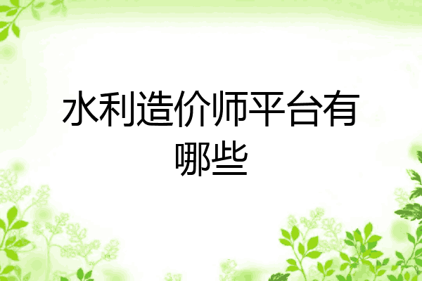 水利造价师平台有哪些