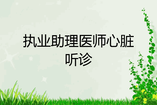 执业助理医师心脏听诊