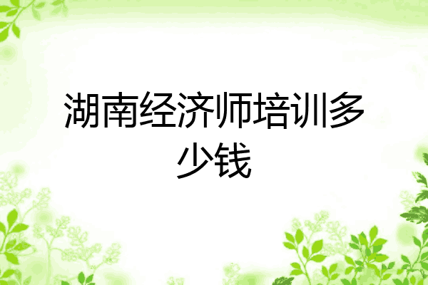 湖南经济师培训多少钱