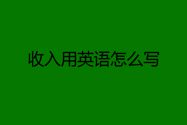 收入用英语怎么写