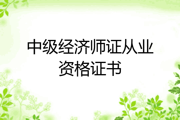 中级经济师证从业资格证书