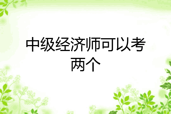 中级经济师可以考两个